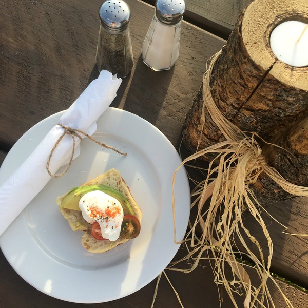 Camp chef coupon code