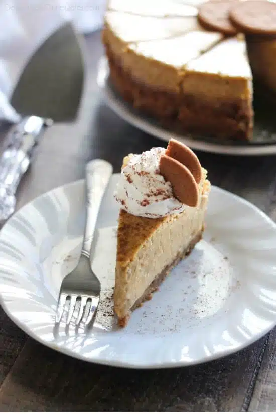 This Gingersnap Pumpkin Cheesecake is full of fall flavors, from the gingersnap cookie crust, to the spiced pumpkin cheesecake. It's the perfect pumpkin dessert! *PLUS! Tips on how to prevent cracks in your cheesecake!*