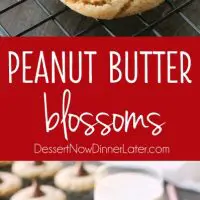 Peanut Butter Blossoms, Peanut Butter Kiss Cookies, and Peanut Butter Thumbprints are all one and the same. An easy and delicious soft peanut butter cookie with a large chocolate morsel center. Makes a great Christmas cookie to share with family and friends!