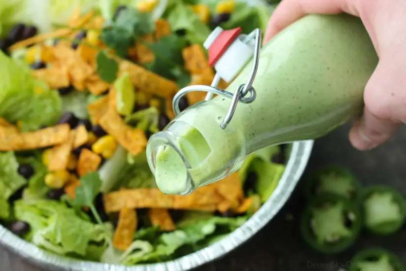 This Cafe Rio Style Cilantro Ranch Dressing is tangy, super creamy, and has a just the right kick of jalapeño. You'll want to put it on everything!