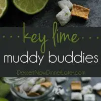 Key Lime Muddy Buddies are inspired by the flavors of a classic key lime pie. They're tangy and sweet, with graham cracker cereal pieces throughout. Perfect for parties or movie night snacking!