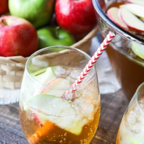 Homemade Sparkling Apple Cider tastes like Martinelli's, and serves a crowd. It's easy to make and cheap! A great non-alcoholic drink for the holidays.