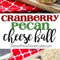 This Cranberry Pecan Cheese Ball is a festive appetizer for Thanksgiving, Christmas, or New Year's Eve! So easy to make, and tastes great!