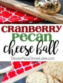 This Cranberry Pecan Cheese Ball is a festive appetizer for Thanksgiving, Christmas, or New Year's Eve! So easy to make, and tastes great!