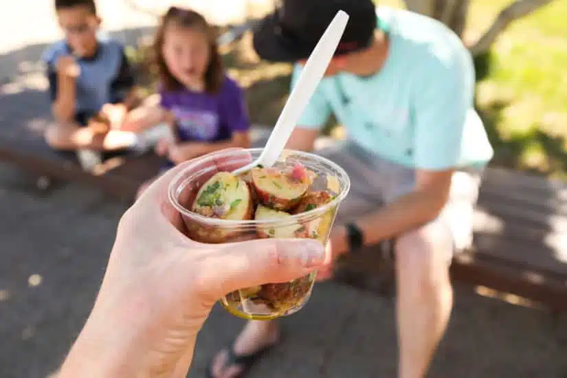 Picnic with Bacon Potato Salad