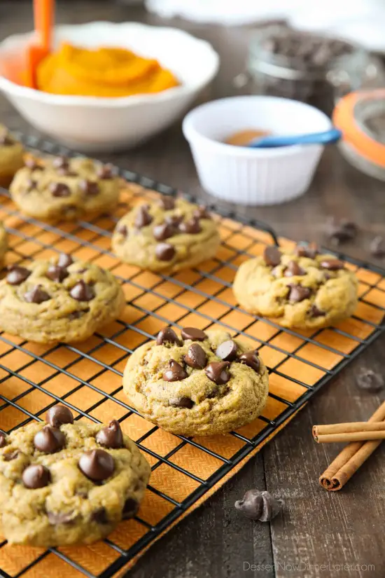 These soft-baked Pumpkin Chocolate Chip Cookies are a little chewy, a little cakey, and full of pumpkin spices and creamy chocolate chips. An easy and delicious fall treat!