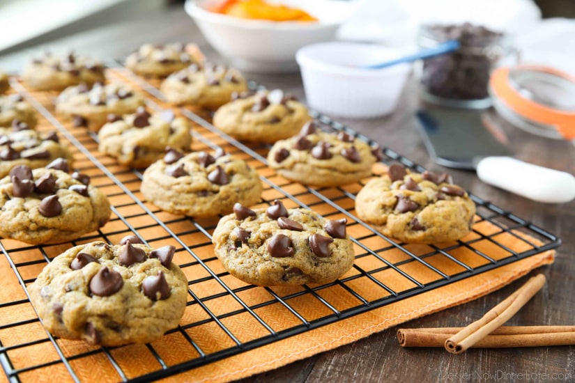 These soft-baked Pumpkin Chocolate Chip Cookies are a little chewy, a little cakey, and full of pumpkin spices and creamy chocolate chips. An easy and delicious fall treat!