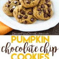 These soft-baked Pumpkin Chocolate Chip Cookies are a little chewy, a little cakey, and full of pumpkin spices and creamy chocolate chips. An easy and delicious fall treat!