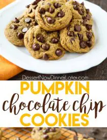 These soft-baked Pumpkin Chocolate Chip Cookies are a little chewy, a little cakey, and full of pumpkin spices and creamy chocolate chips. An easy and delicious fall treat!