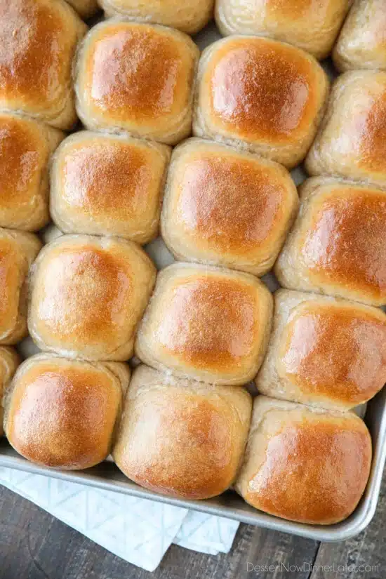 These 100% Whole Wheat Dinner Rolls are so soft, light, fluffy and moist, with a hint of honey. Make them for holidays (Thanksgiving, Christmas, Easter, etc.) or any day!