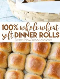 These 100% Whole Wheat Dinner Rolls are so soft, light, fluffy and moist, with a hint of honey. Make them for holidays (Thanksgiving, Christmas, Easter, etc.) or any day!