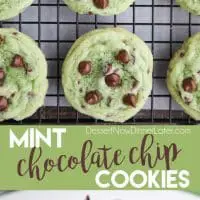 Mint Chocolate Chip Cookies are soft, chewy, and chocolatey, with just the right amount of mint! Makes a great Christmas cookie and is perfectly green for St. Patrick's Day! 