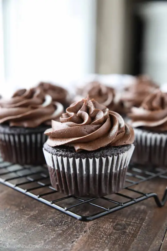 Chocolate Cream Cheese Frosting piped on top of chocolate cupcakes.
