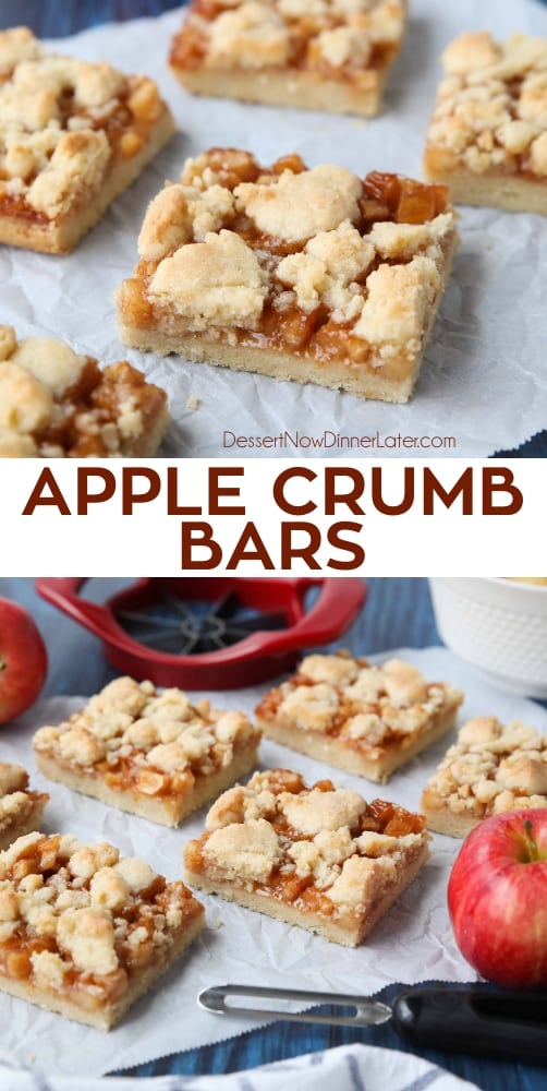 Apple Crumb Bars | Dessert Now Dinner Later