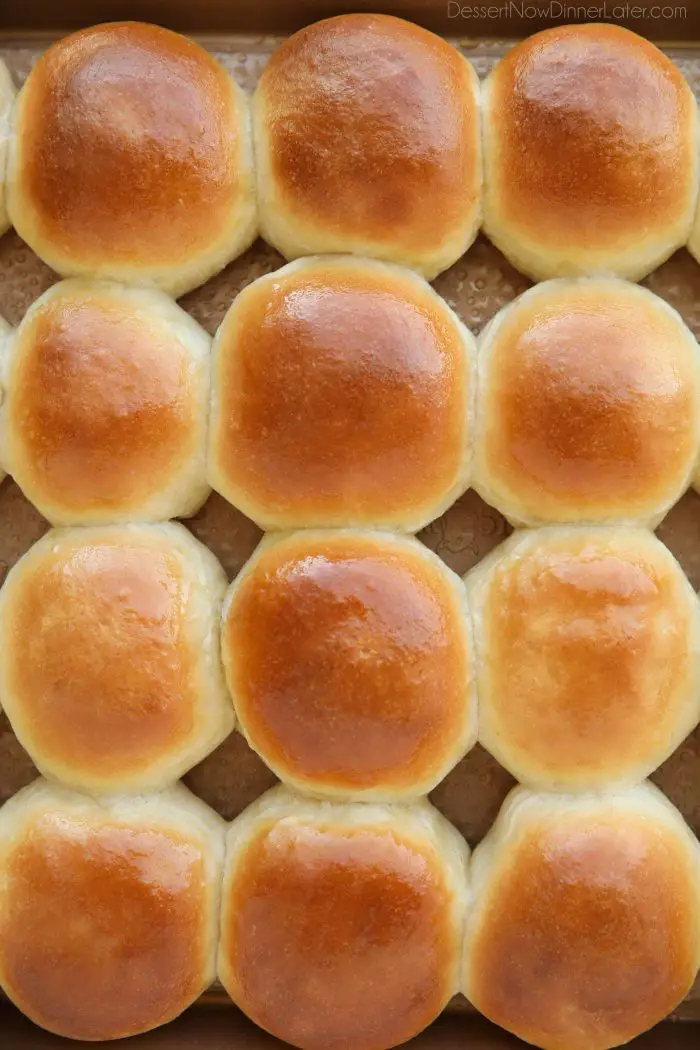 This classic homemade dinner rolls recipe is soft, fluffy, light, and buttery. The perfect bread for any meal or holiday feast.