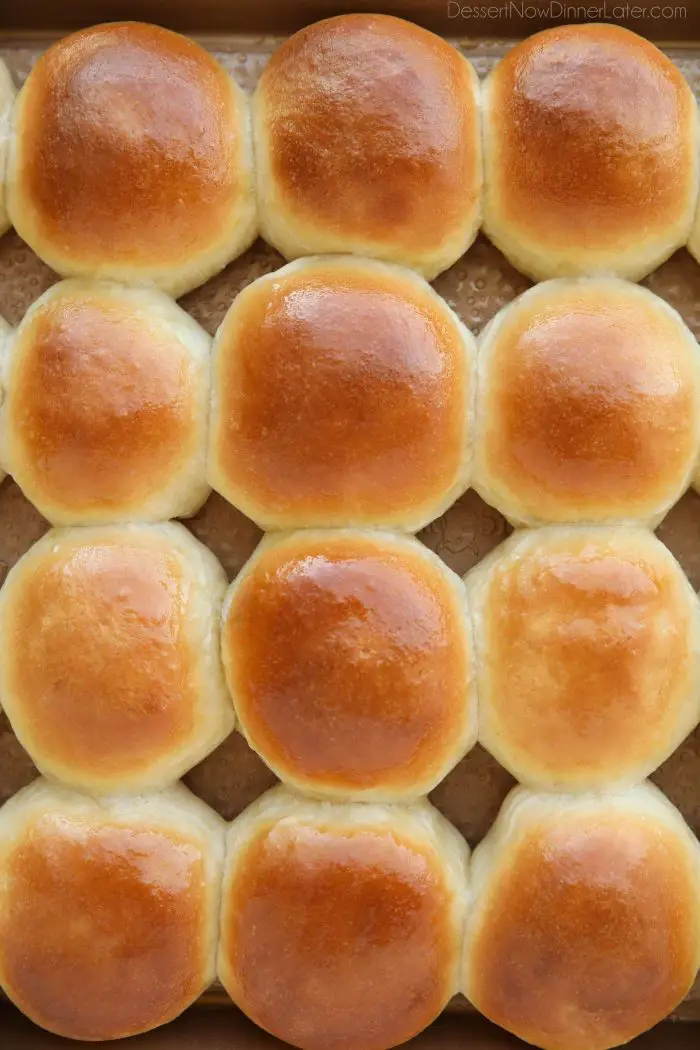 Homemade Dinner Rolls ~Sweet & Savory