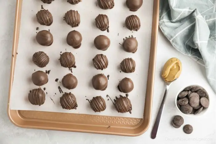 Dipped chocolate peanut butter balls on tray with parchment paper.