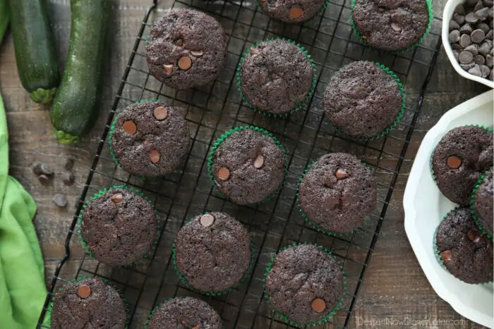 Top view of cooling rack with chocolate zucchini muffins with chocolate chips inside.