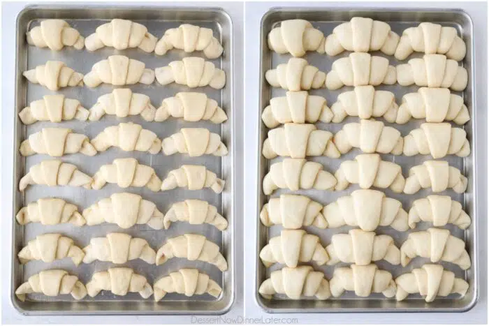 Shaped crescent rolls before and after rising.