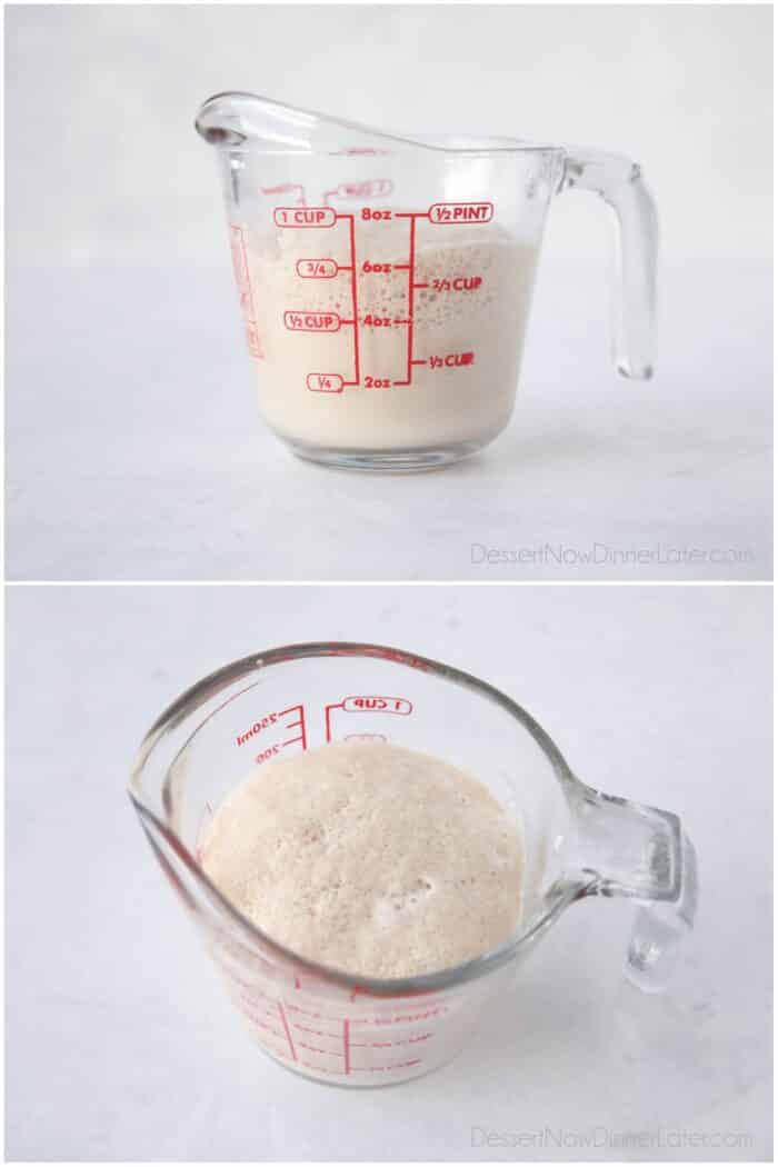 Two image collage. Showing the side and top of a measuring cup with bloomed yeast.