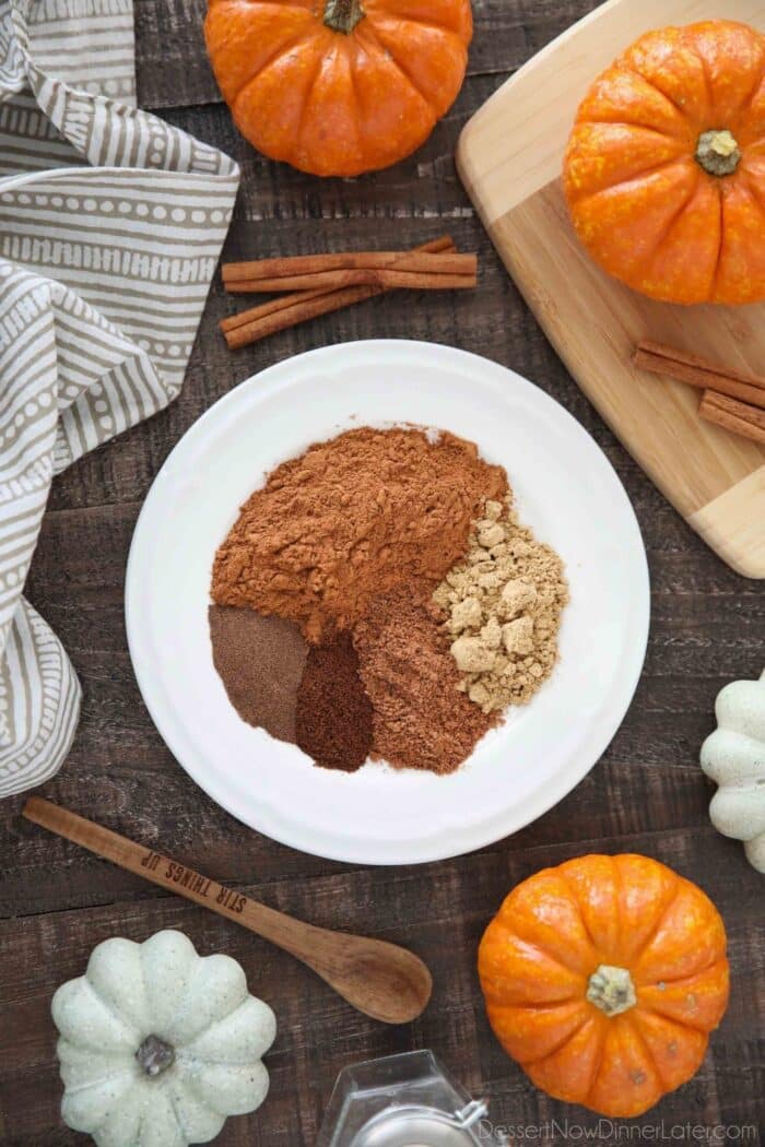 Ingredients on a plate for pumpkin pie spice recipe: ground cinnamon, ground ginger, ground nutmeg, ground cloves, and ground allspice.