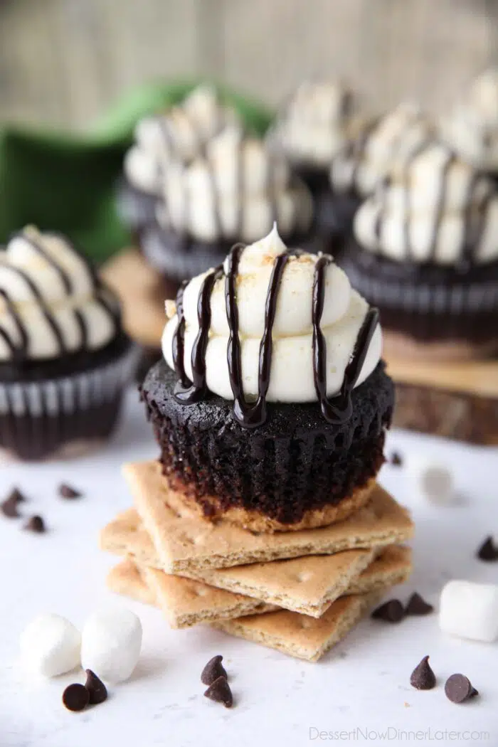 Chocolate cupcake with graham cracker crust and marshmallow buttercream frosting.