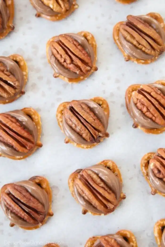 Close-up of Pretzel Turtles.