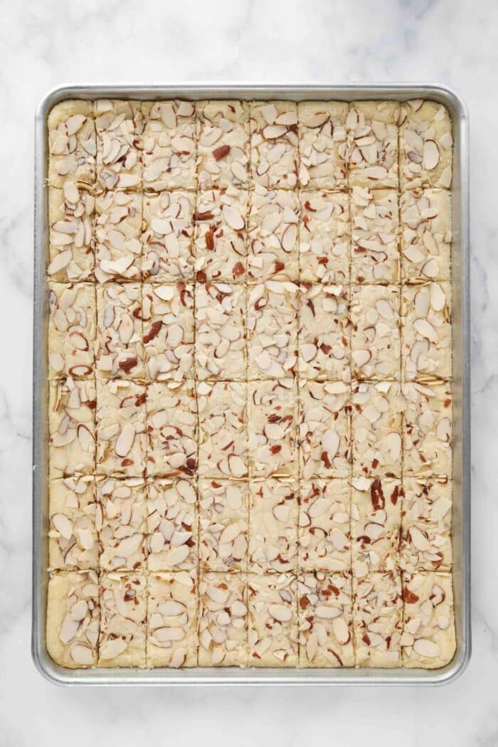 Baked almond bars cut into 48 pieces. Six rows on the long side and 8 rows on the short side, to create thin rectangles.