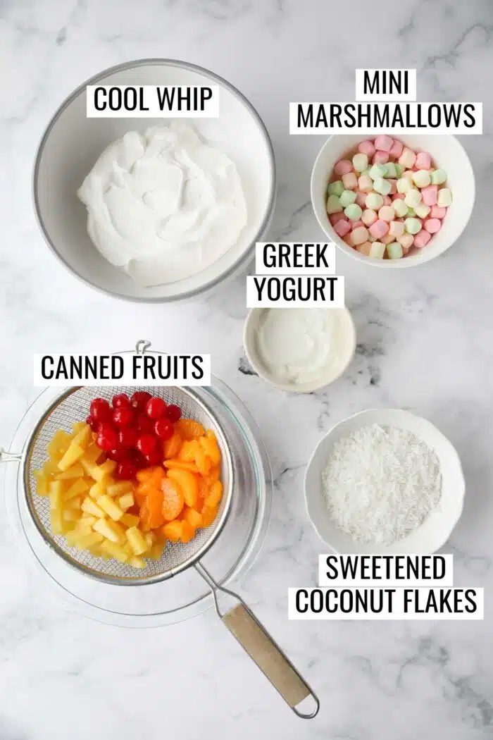 Labeled ingredients needed to make Ambrosia Fruit Salad.